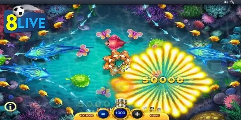 Quy tắc cơ bản là điều cần thiết mà hội viên phải biết