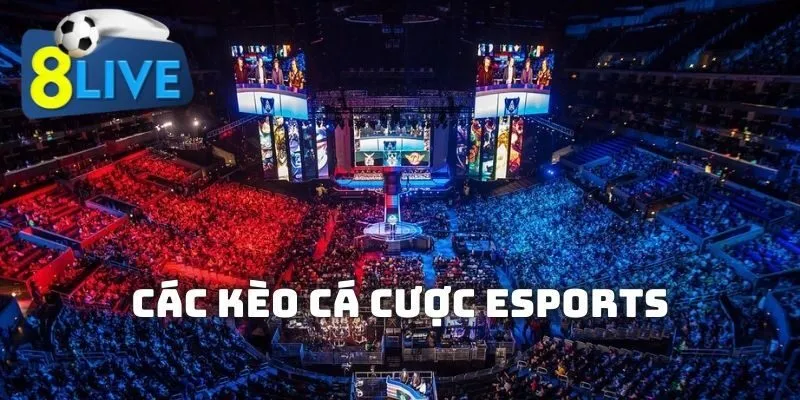 huong-dan-ca-cuoc-esports-hay-nhat